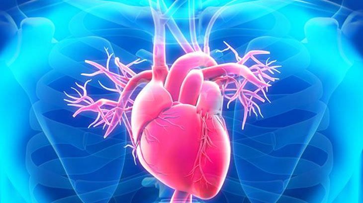 Minimal İnvaziv Kalp Cerrahisi