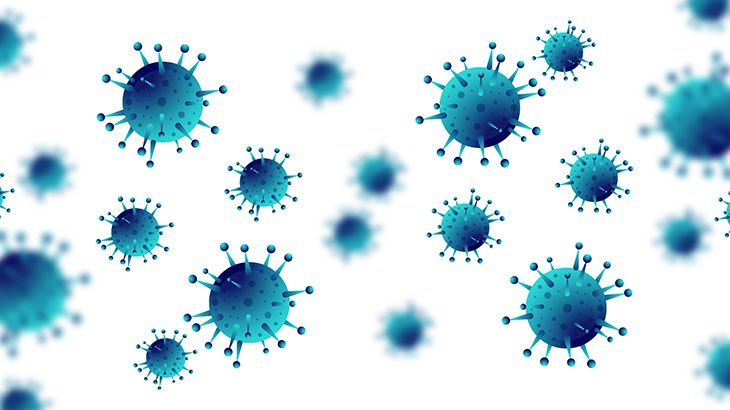 Şap Hastalığı Nedir? Belirtileri Nelerdir? Tedavisi Nasıl Yapılır?