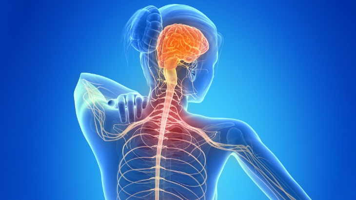 MS Hastalığı Nedir? Belirtileri Nelerdir? Nasıl Tedavi Edilir?